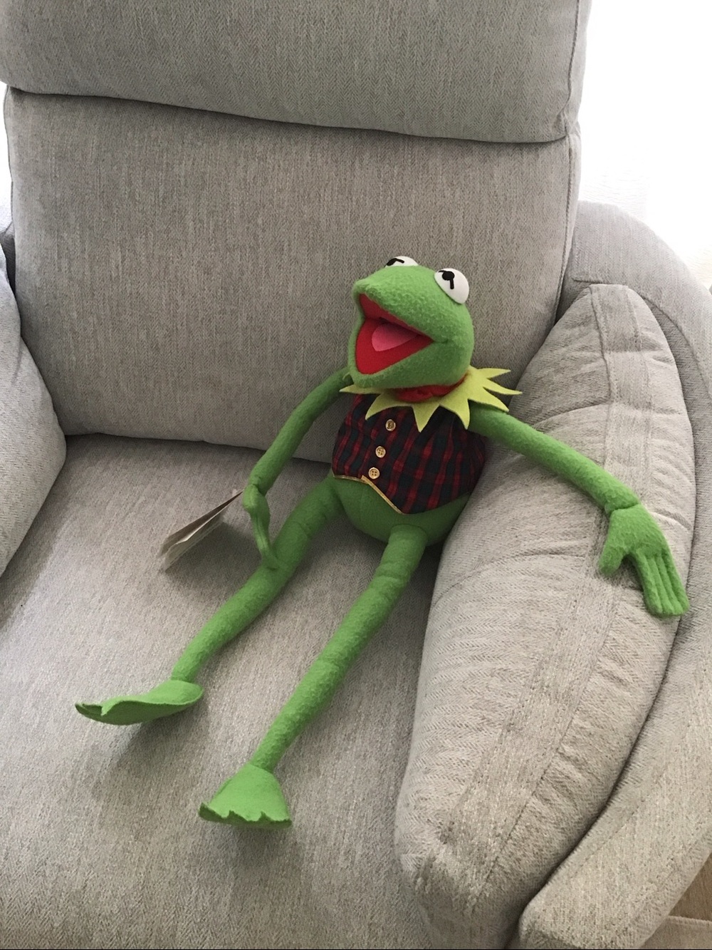Vintage Large Kermit the Frog Plush with Plaid Vest 24” - Picture 13 of 14